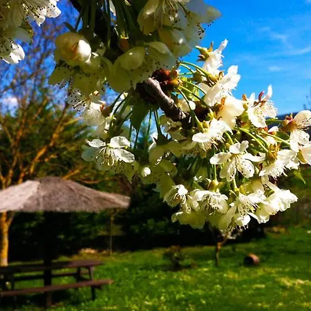 Arte Y Natura Valdivielso Quintana de Valdivielso