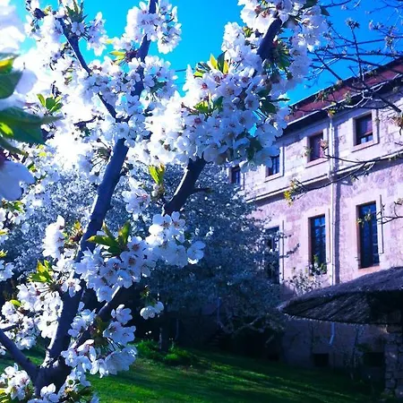 Arte Y Natura Valdivielso *