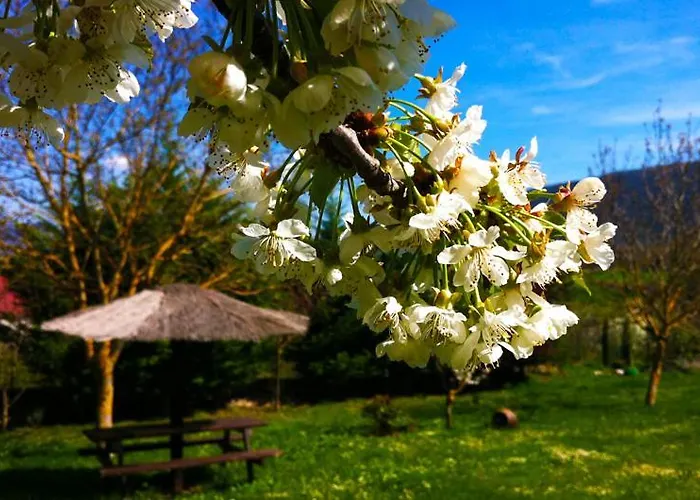 Arte Y Natura Valdivielso Quintana de Valdivielso