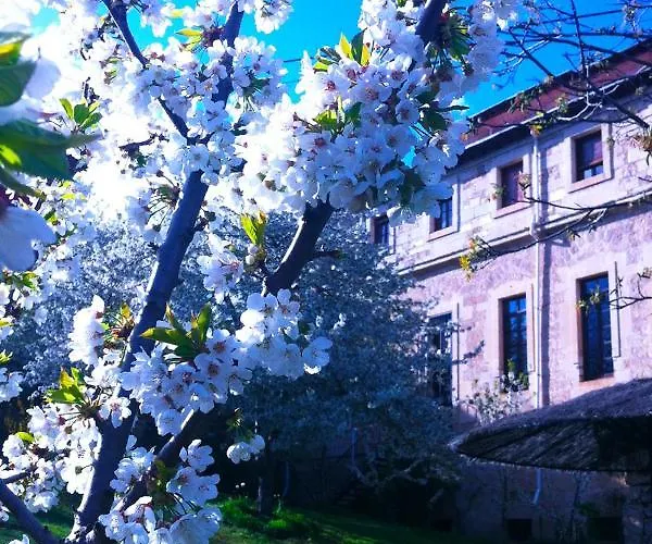 Arte Y Natura Valdivielso *